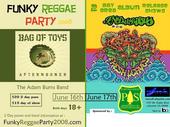 Funky Reggae Party 2008 profile picture