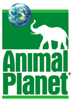 ANIMAL PLANET ADDICTS profile picture