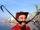 Moustacheride profile picture