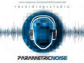 PARAMETRIC NOISE STUDIO profile picture