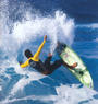 Pesce Surfboards Intl. profile picture