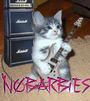 Nobarbies profile picture