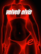 The Velvet Elvis profile picture