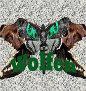 Wolfen profile picture