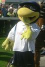 Deepdale Duck profile picture