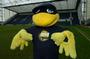 Deepdale Duck profile picture