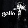 GALLO profile picture