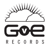 gve records profile picture