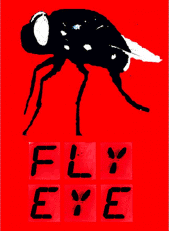 Fly Eye Records profile picture