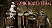 Sonic Roots Team profile picture