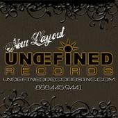 Undefined Records is looking 4 models in NM! profile picture