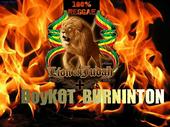 Boykot BURNINTON profile picture