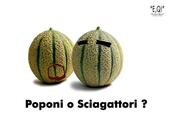 sciagattori