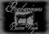 GRABACIONES BURRO VIEJO profile picture