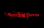 Bleeding Doves(New Music) And(And Drummer Fired) profile picture