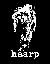 haarp profile picture