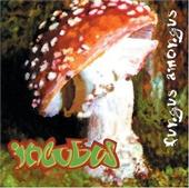 Fungus Amongus profile picture