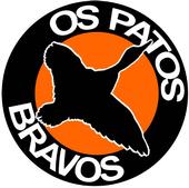 Os Patos Bravos (5 canÃ§Ãµes novas) profile picture