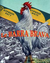 BARRA BRAVA profile picture