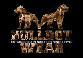 Bullrot-officiel profile picture