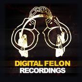 Digital Felon Recordings profile picture