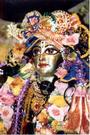 Iskcon Murari Sevaka profile picture