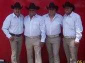 Los Bohemios De Michoacan profile picture