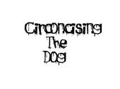 circoncising the dog profile picture