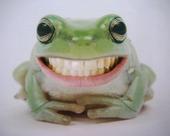 Chmog Da Frog profile picture