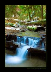 Epic Environmental Portraiture profile picture