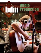 bdm Audio Production profile picture