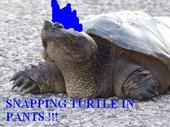 SNAPPING TURTLE IN PANTS we zucks profile picture