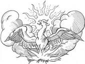 The Phoenix profile picture