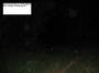 Monroe Unexplained Paranormal Society profile picture