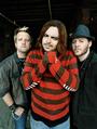 Seether Tour TV profile picture