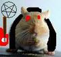 Heavy Metal Gerbil profile picture