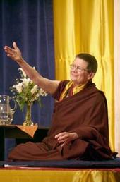 Friends of Pema Chodron profile picture