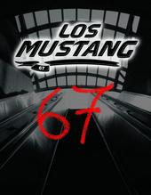 MUSTANG 67 COVERS BAND (On Hold) profile picture