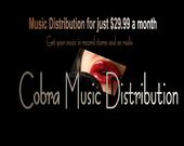 Cobra Music Distribution profile picture