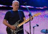 Dave Gilmour profile picture