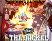 www.thajackal.com profile picture