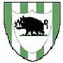 Bromsgrove Rovers F.C. profile picture