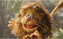 Fozzie profile picture