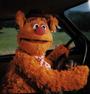 Fozzie profile picture