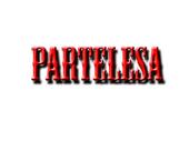 PARTELESA (cerchiamo bassista) profile picture