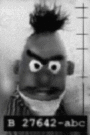 Evil Bert profile picture