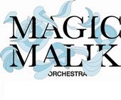 Magic Malik Orchestra profile picture