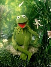 Kermit The Frog Here profile picture