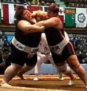 ladysumo