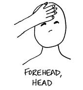 foreheadhead